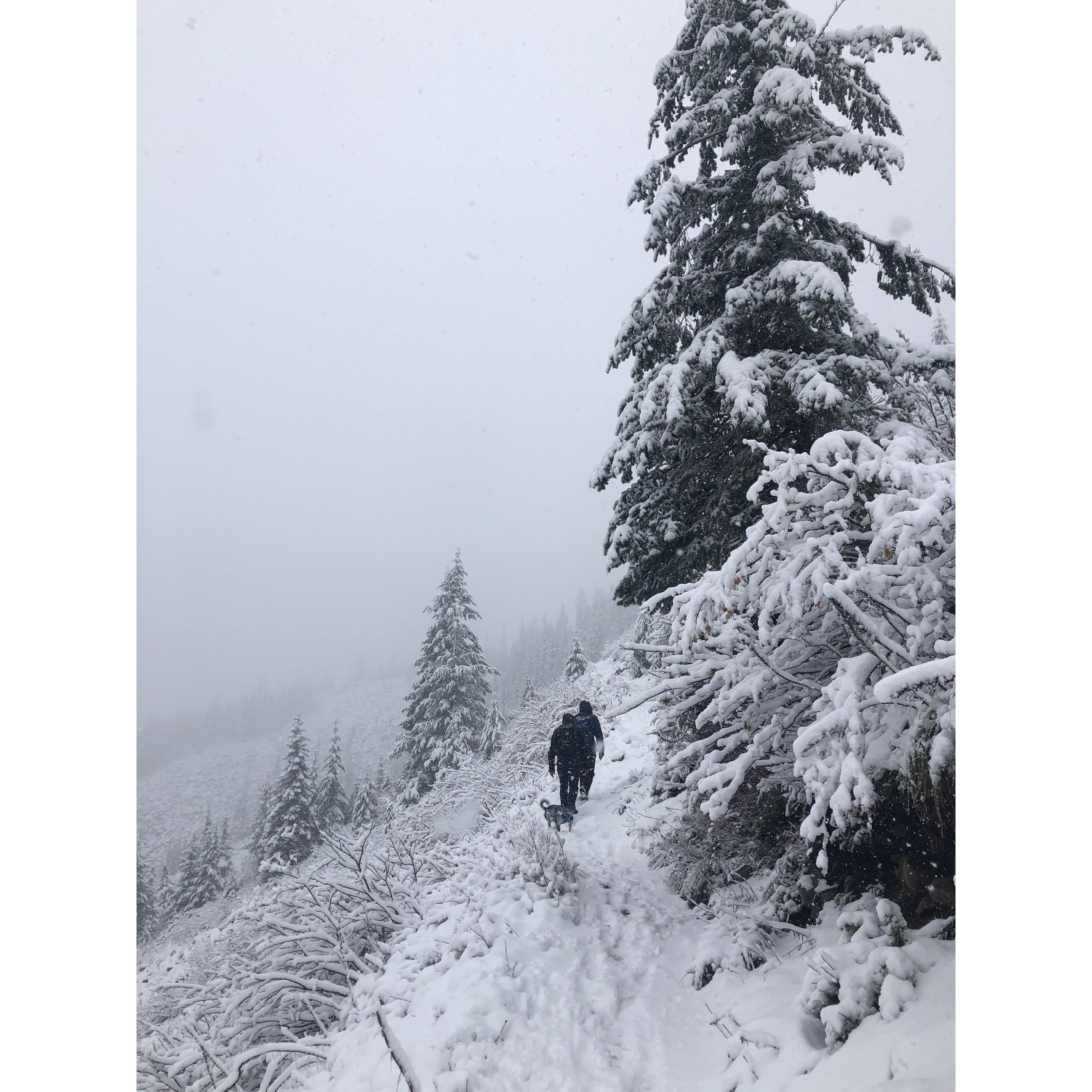 Hiking at Bandera Mountain, Snoqualmie Region, Washington