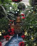 United States Botanic Garden