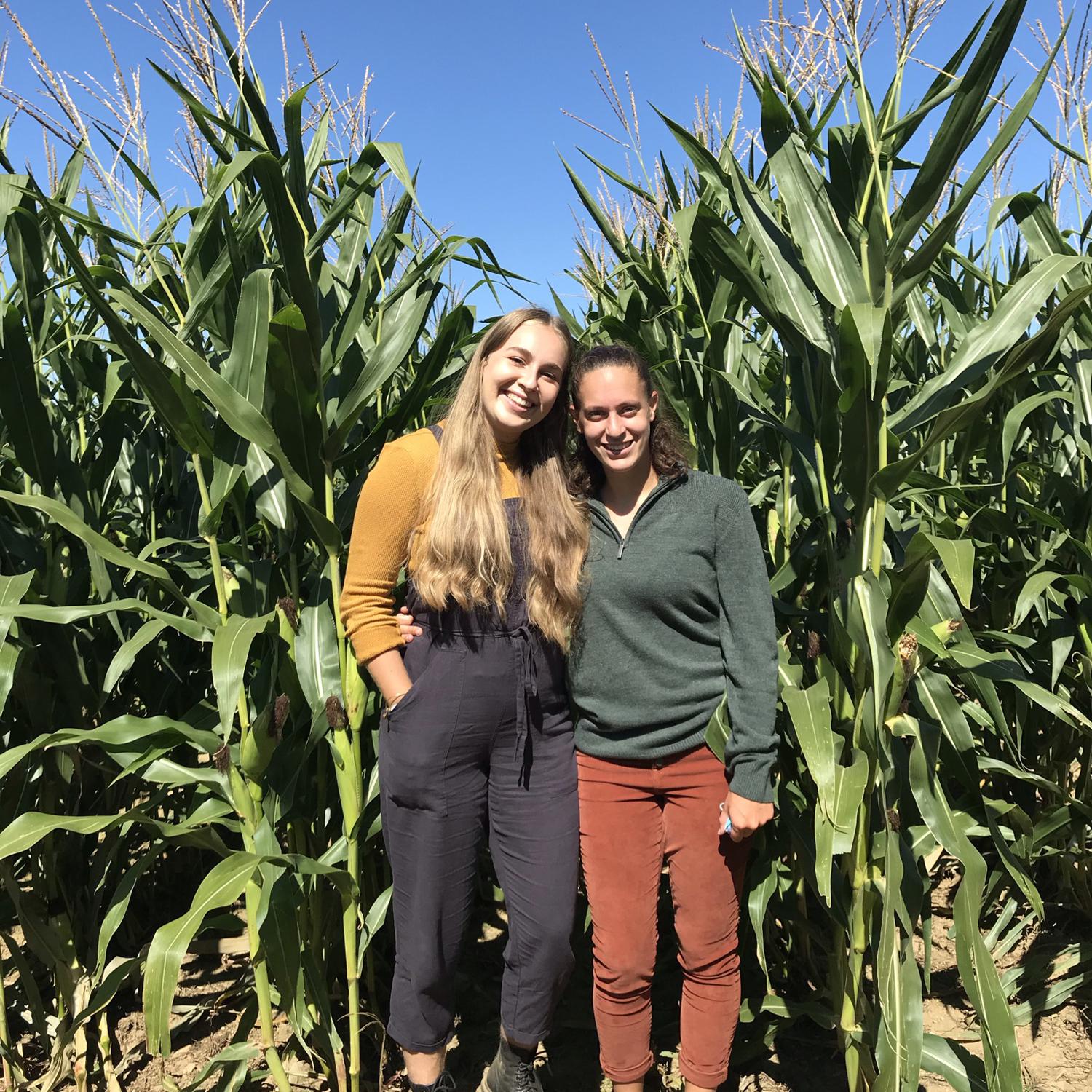 Even miles away from Iowa, we managed to find a cornfield! Fall in New York was spent picking apples and getting lost in corn mazes.