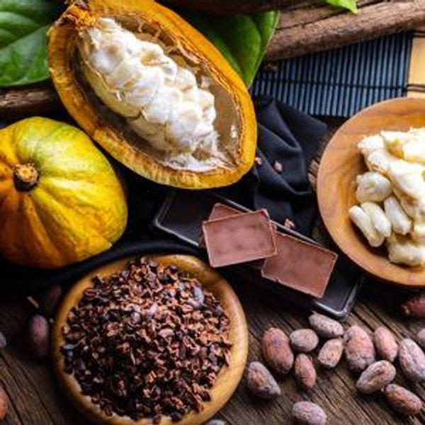 Costa Rica Chocolate Tour