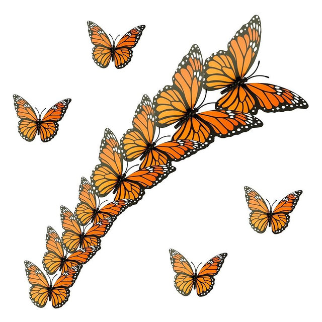 12Pcs Monarch Butterfly Decorations, 3 Sizes Halloween Butterfly Wall Decor, 3D Orange Fake Butterflies, Artificial Butterfly Crafts for The Dead Day, Bedroom, Home, Wedding, Party, Halloween Decor