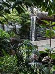 Foellinger-Freimann Botanical Conservatory
