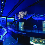 Wonders Of Wildlife National Museum & Aquarium