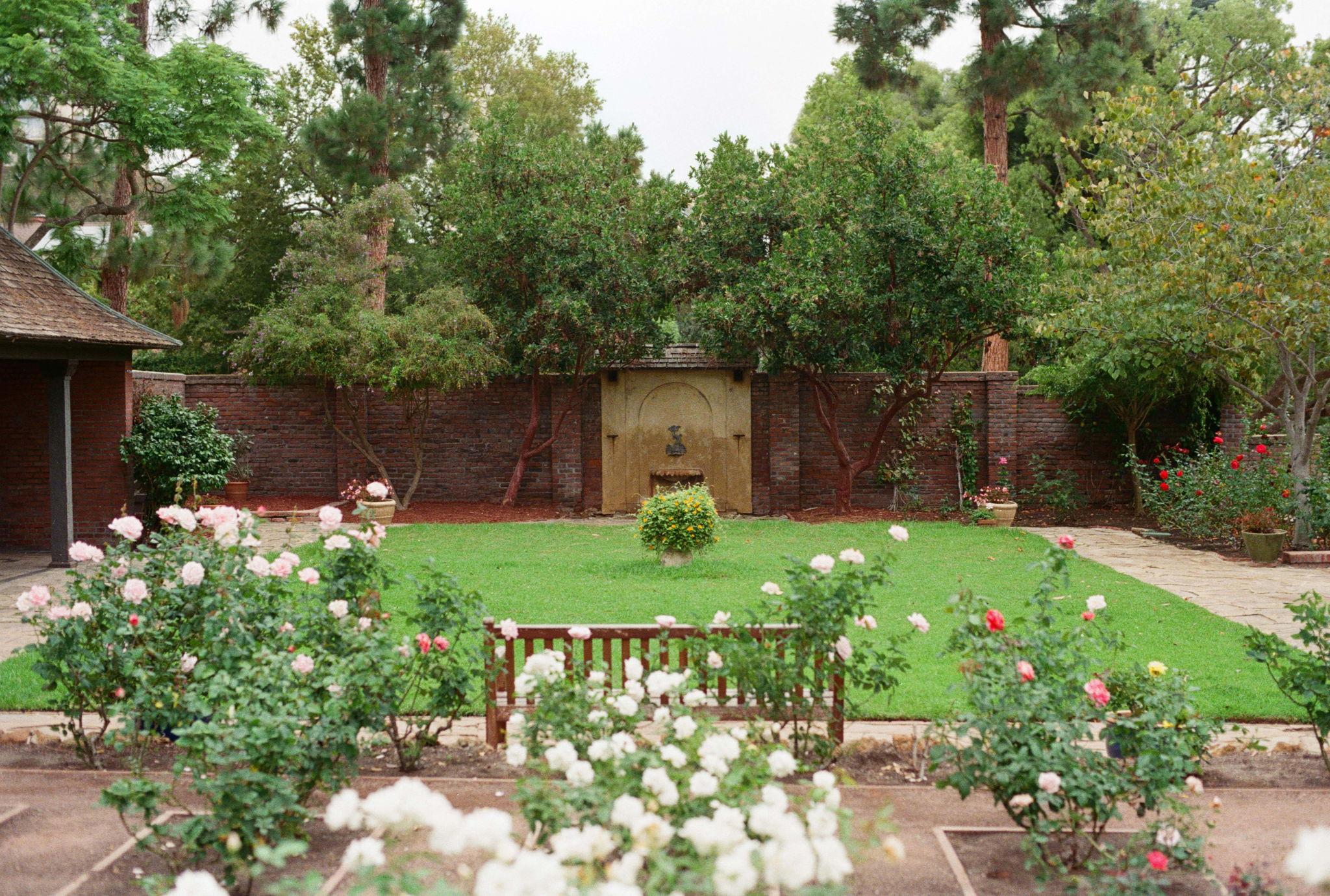 The Wedding Website of Aisha Eisenberg and Mark Stewart