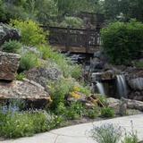 Betty Ford Alpine Gardens