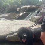 Diana's Baths Cascade