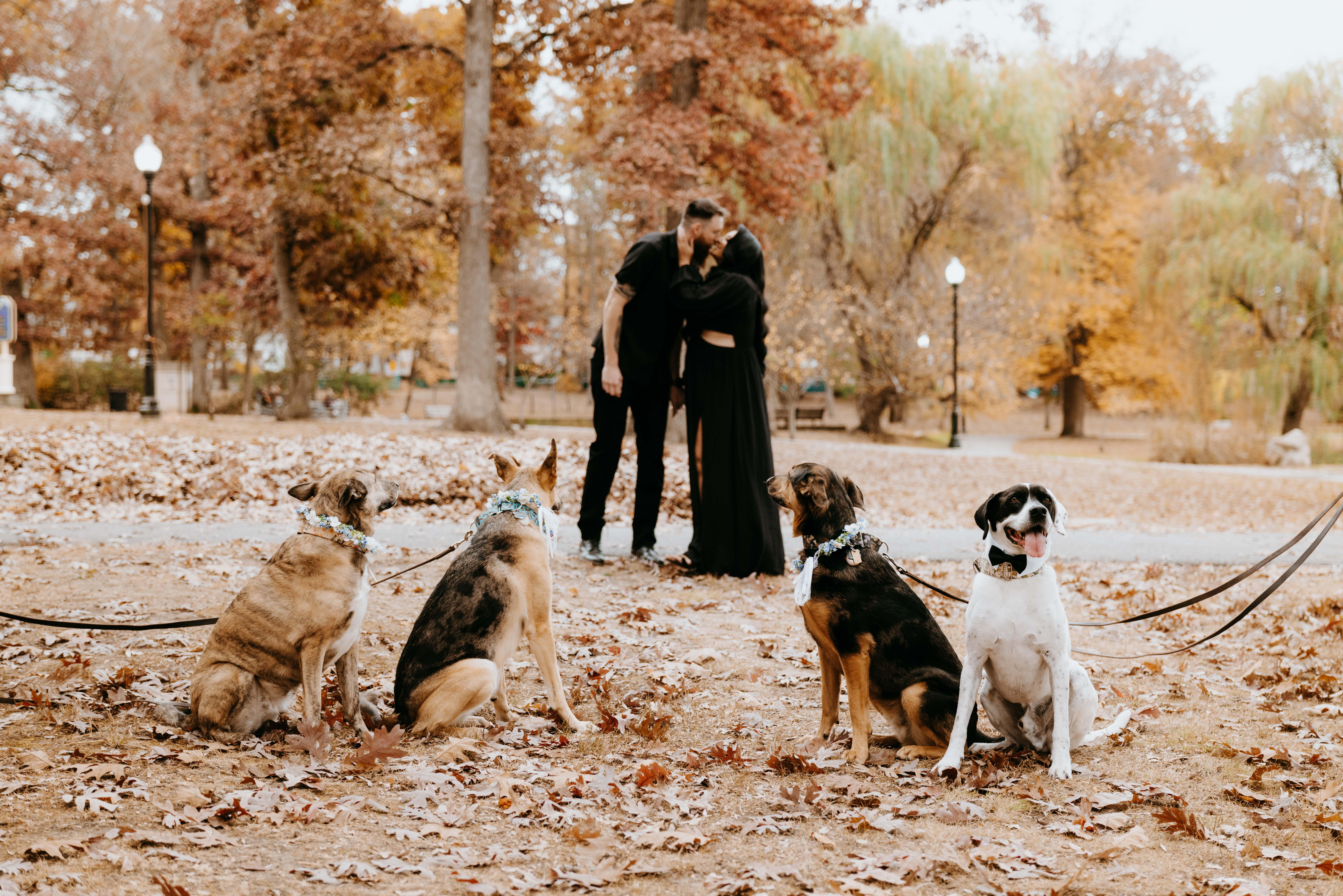 The Wedding Website of Tyler Singh and Donovon Jack