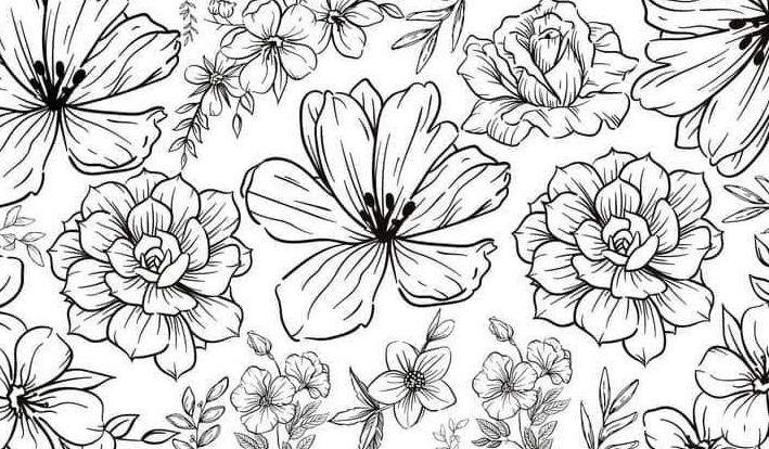 The Wedding Website of Adriana McCabe and Thomas Campbell