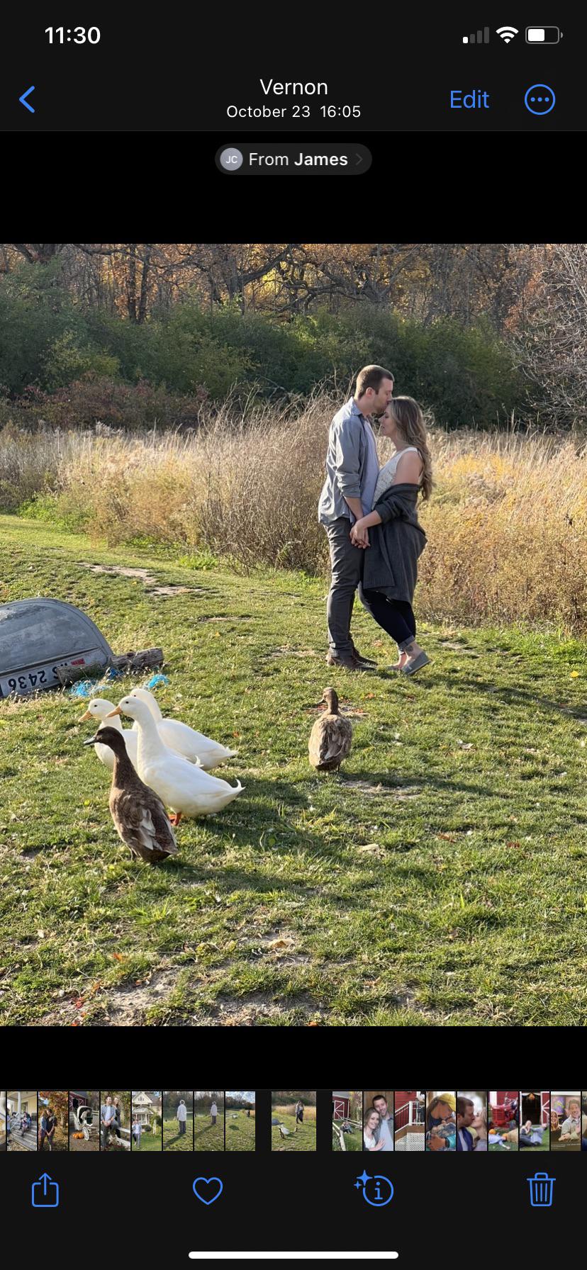 Ducks at the engagement shoot