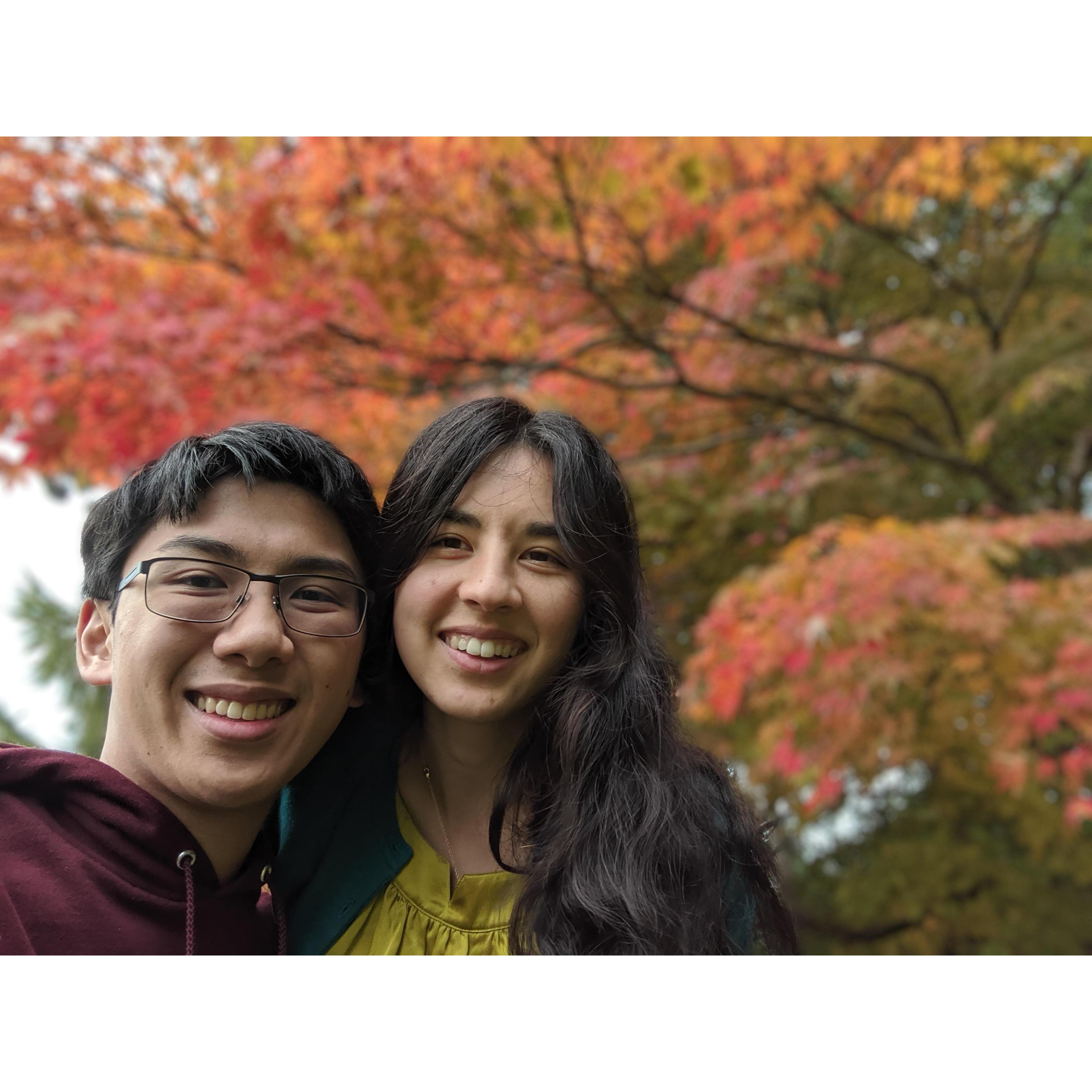 Ballard Locks fall collection