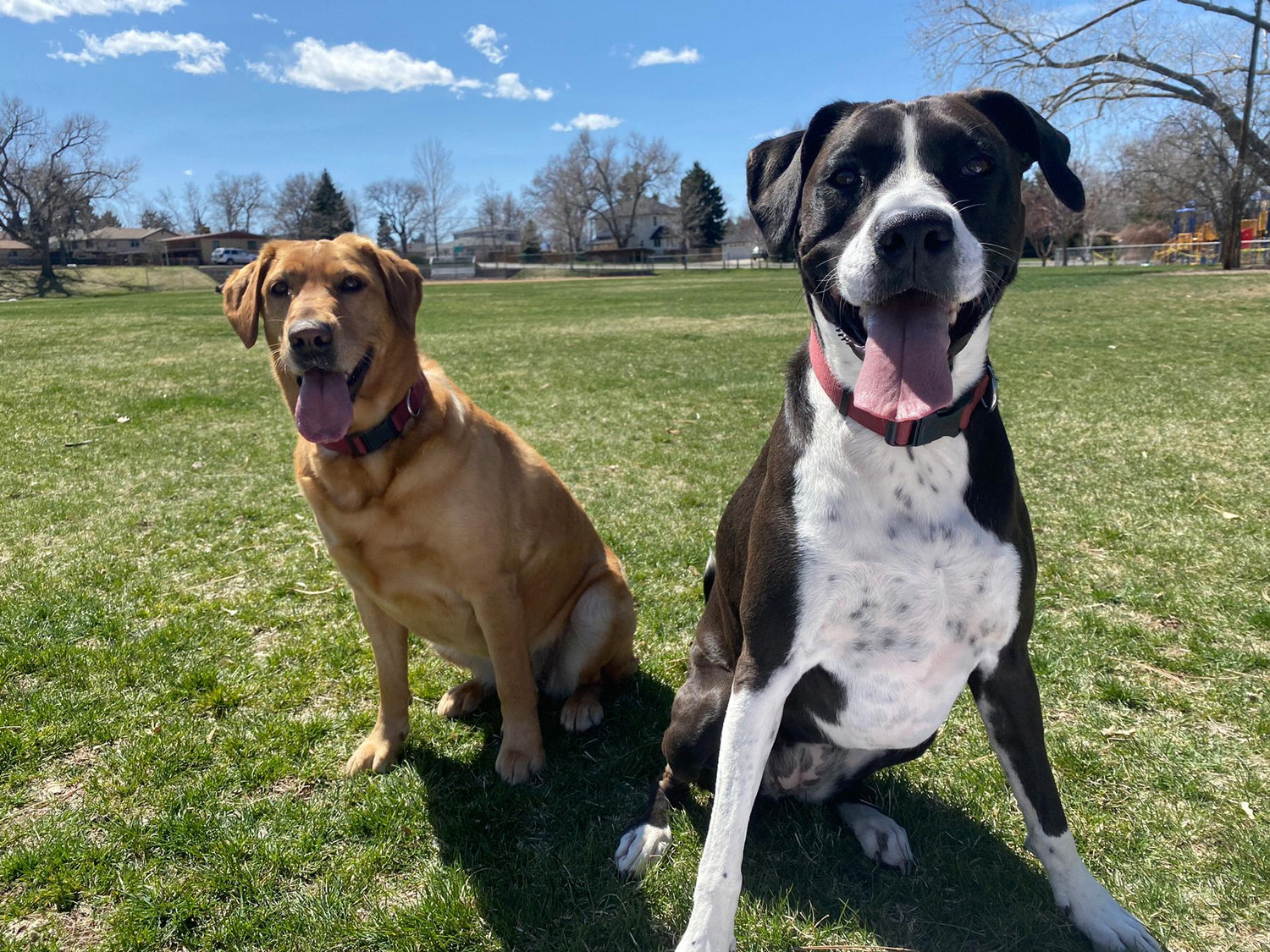the best girls