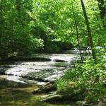 Beaman Park Nature Center