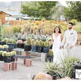 Cactus Joe's Blue Diamond Nursery