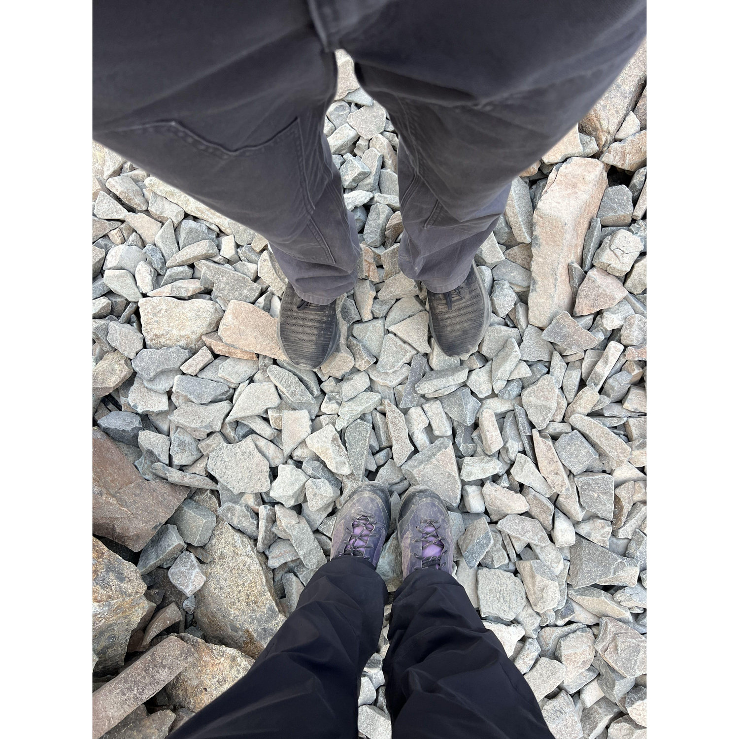 At the Mt Rainier lookout
