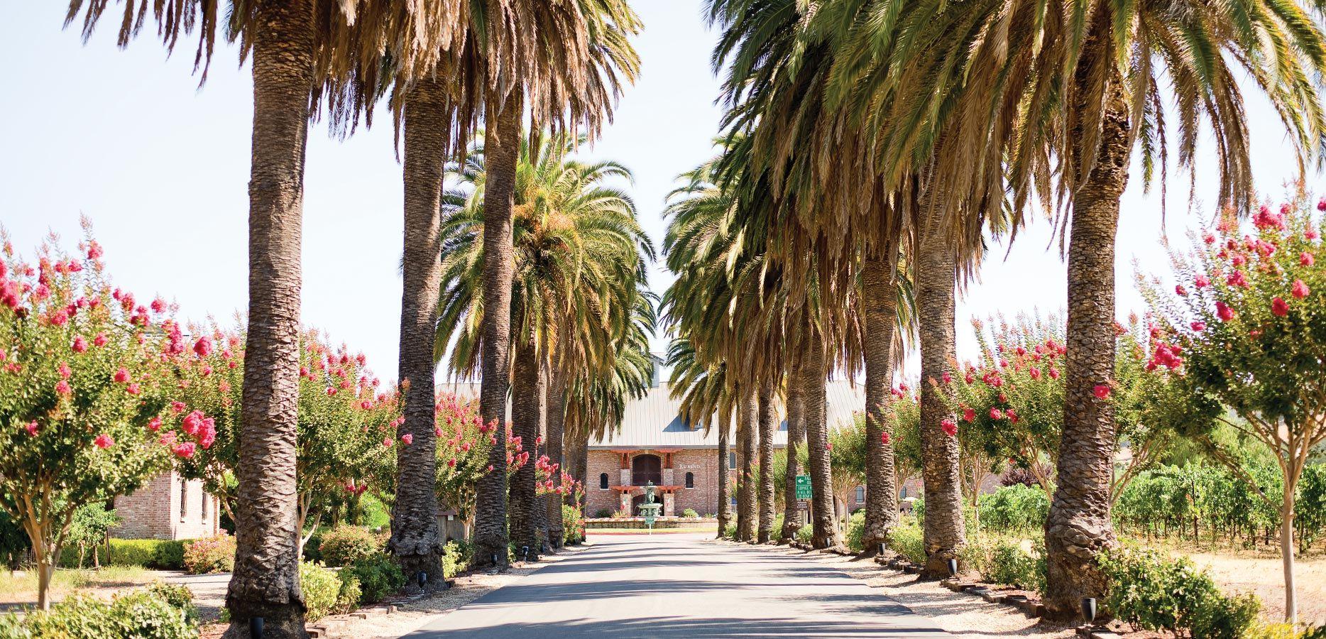 The Wedding Website of Pamela Dogra and Leo Magaña