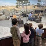 Lindsay Wildlife Experience