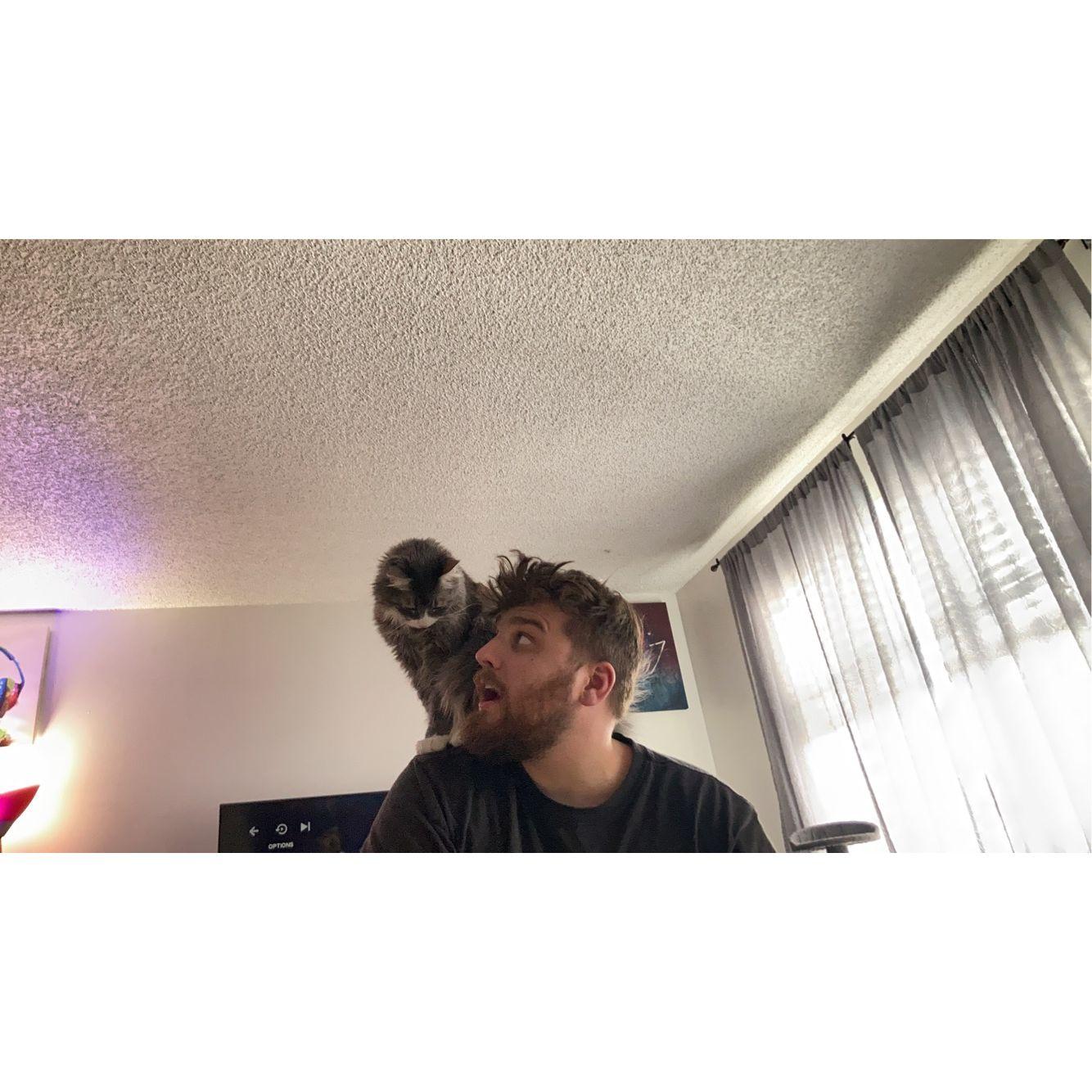 Luna will only sit on Nick's shoulders and he loves to rub that in