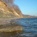 Calvert Cliffs State Park