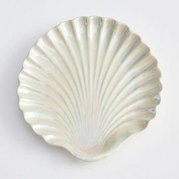 Pearlescent Shell Stoneware Salad Plates - Set of 4