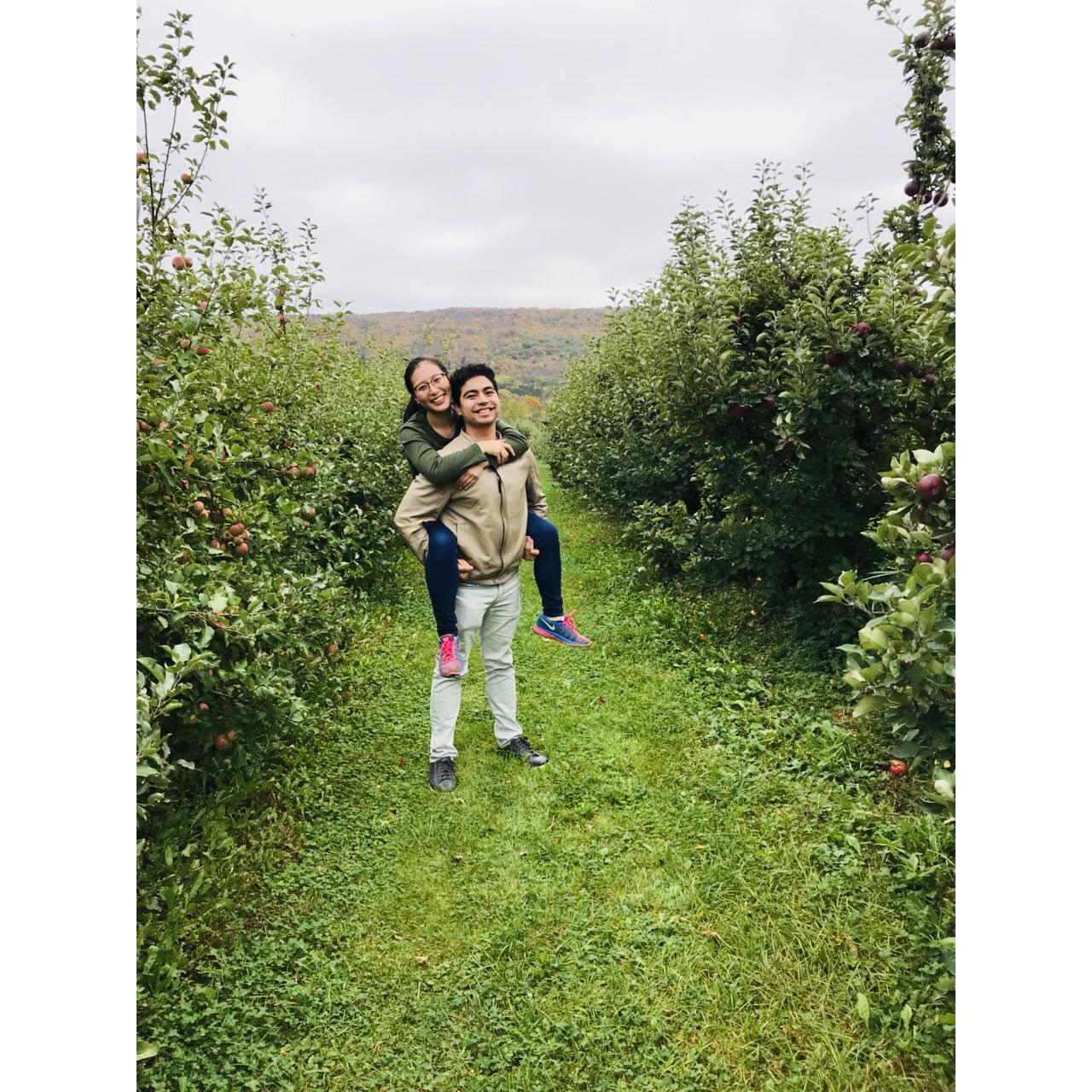 Apple Picking October 2017