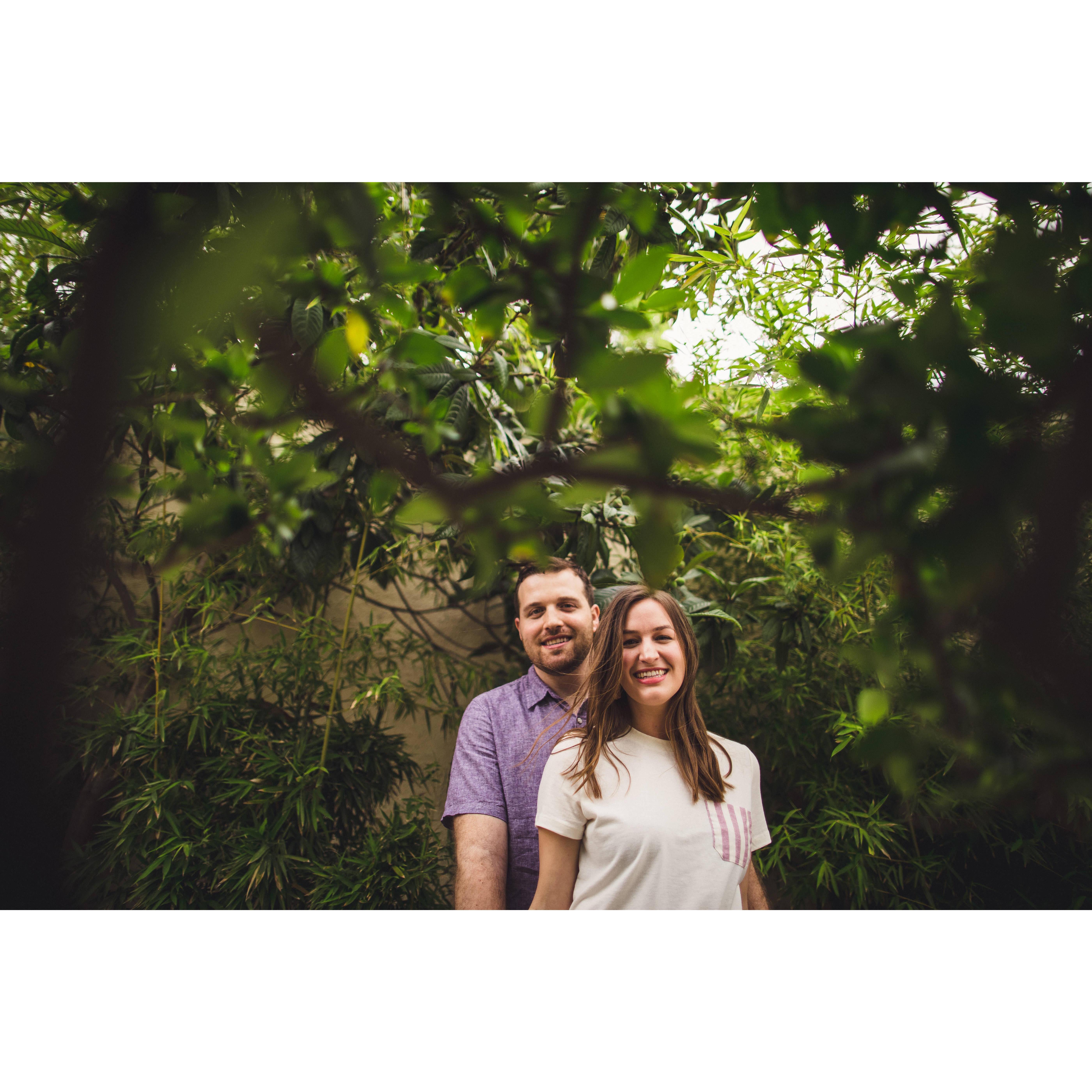 Engagement photos