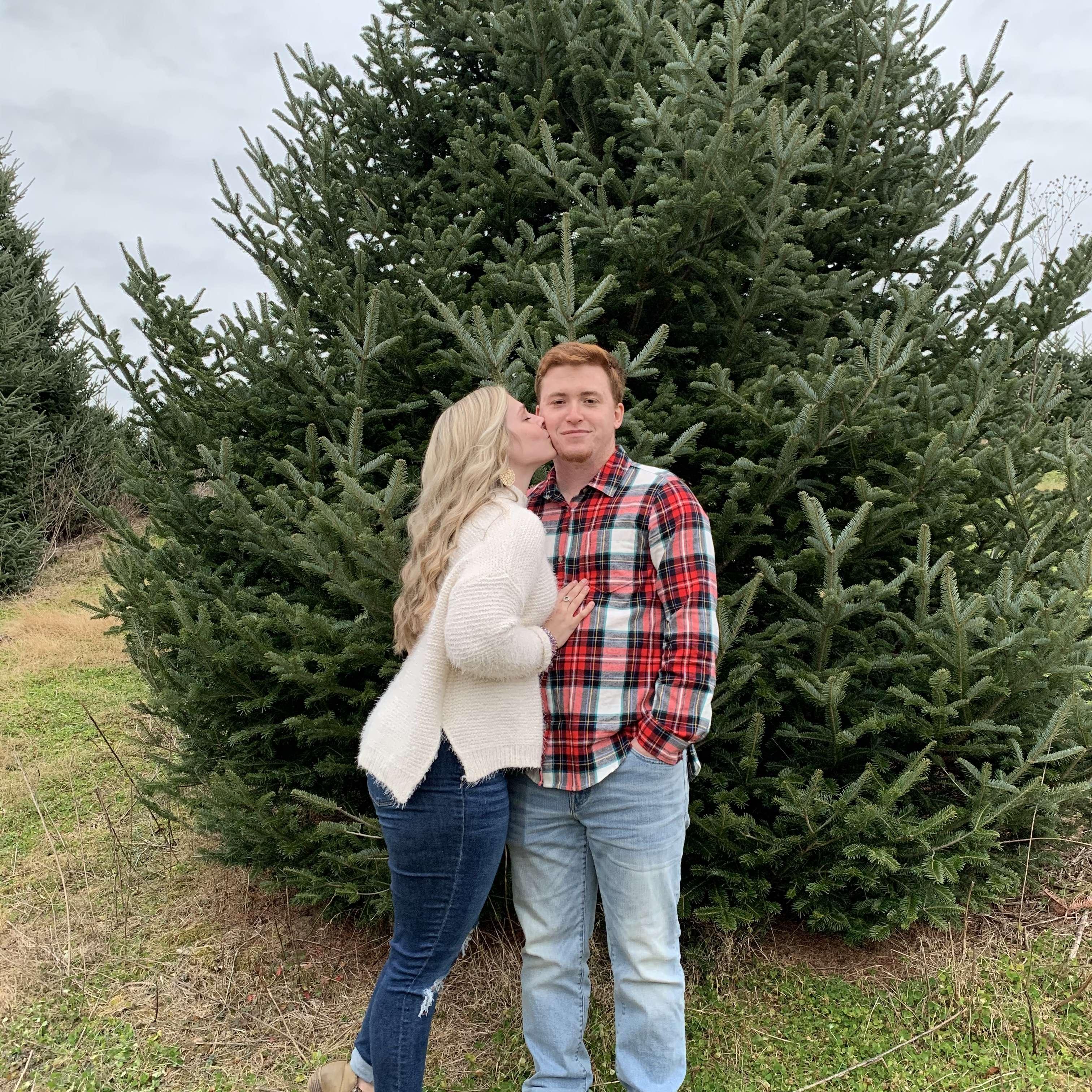 picking out a Christmas tree