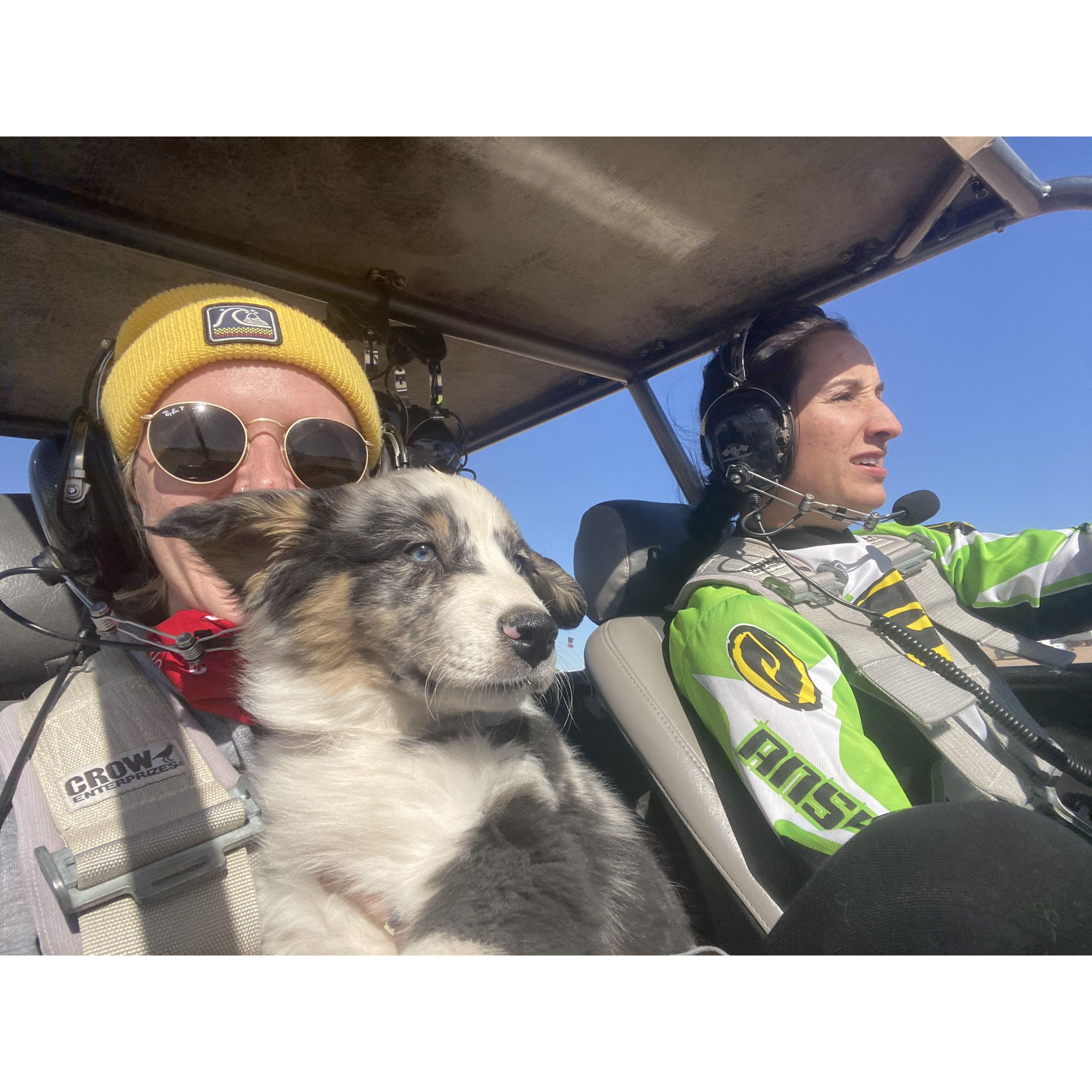 Kahlua's buggy ride