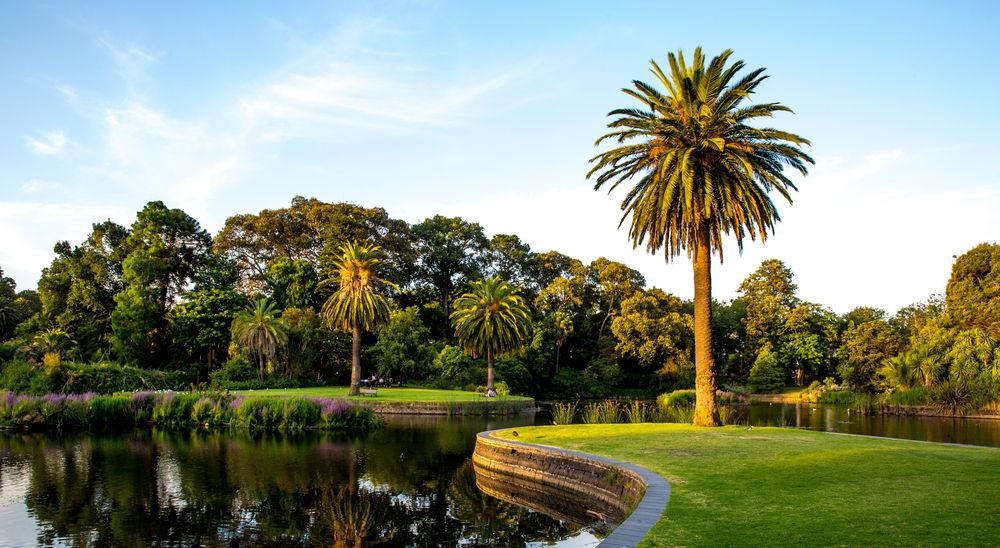 The Wedding Website of Liz Purtell and Rob Campbell