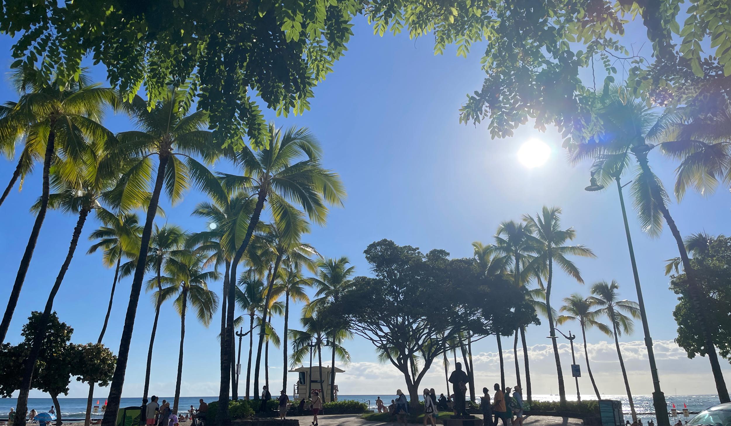 The Wedding Website of Chrissy Fidelus and Mark Dinglasan