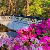 Magnolia Plantation and Gardens