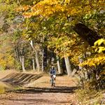 Delaware Canal State Park