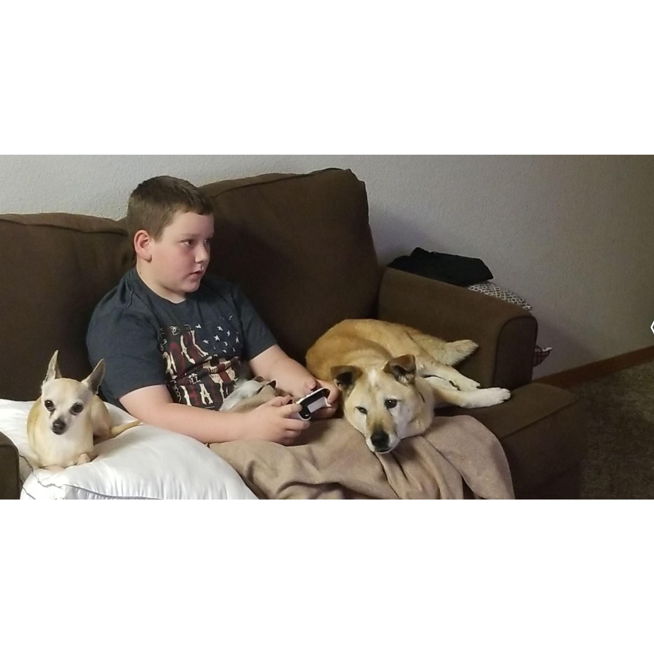 Robby's little brother Aiden protected by top notch security.