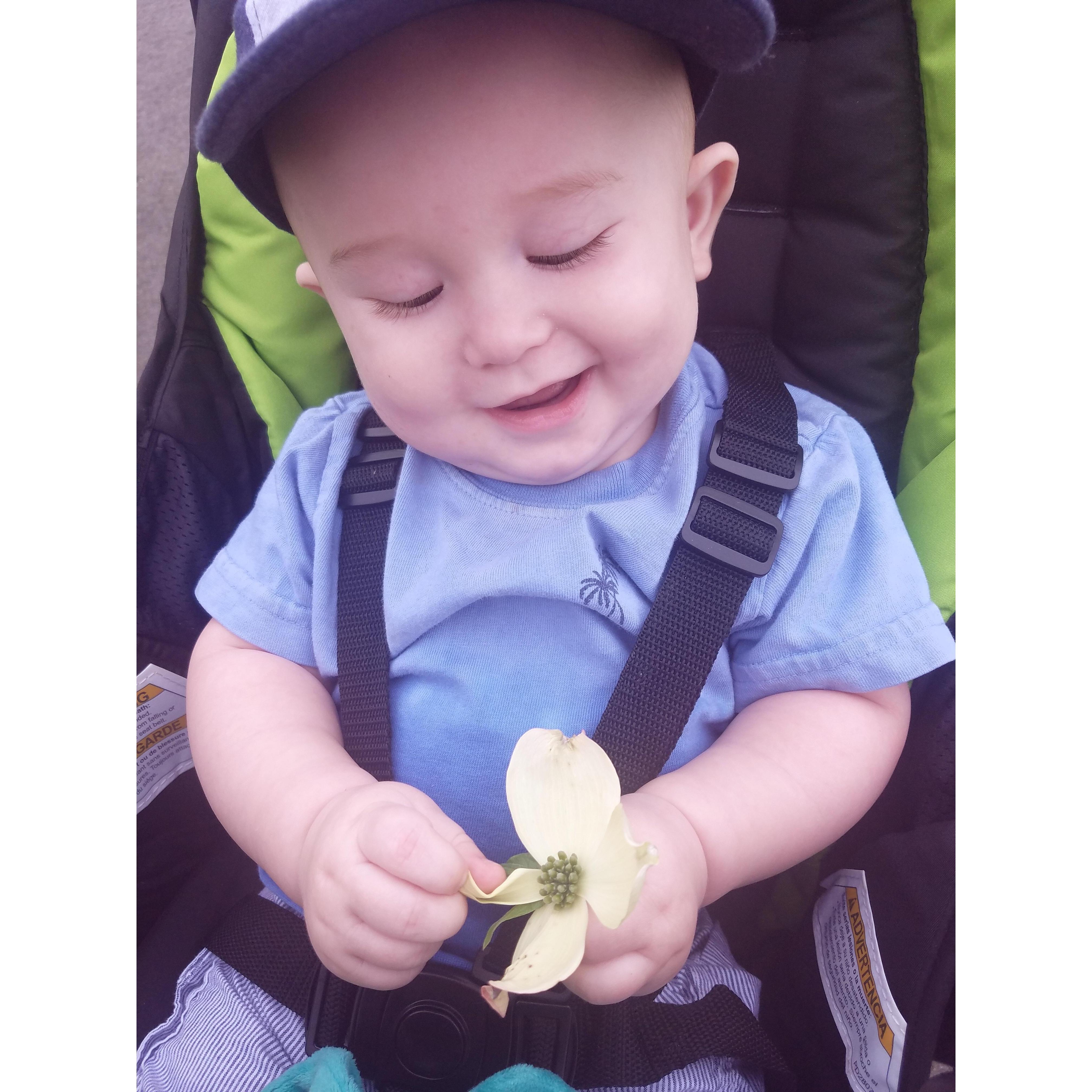 His first flower picking.