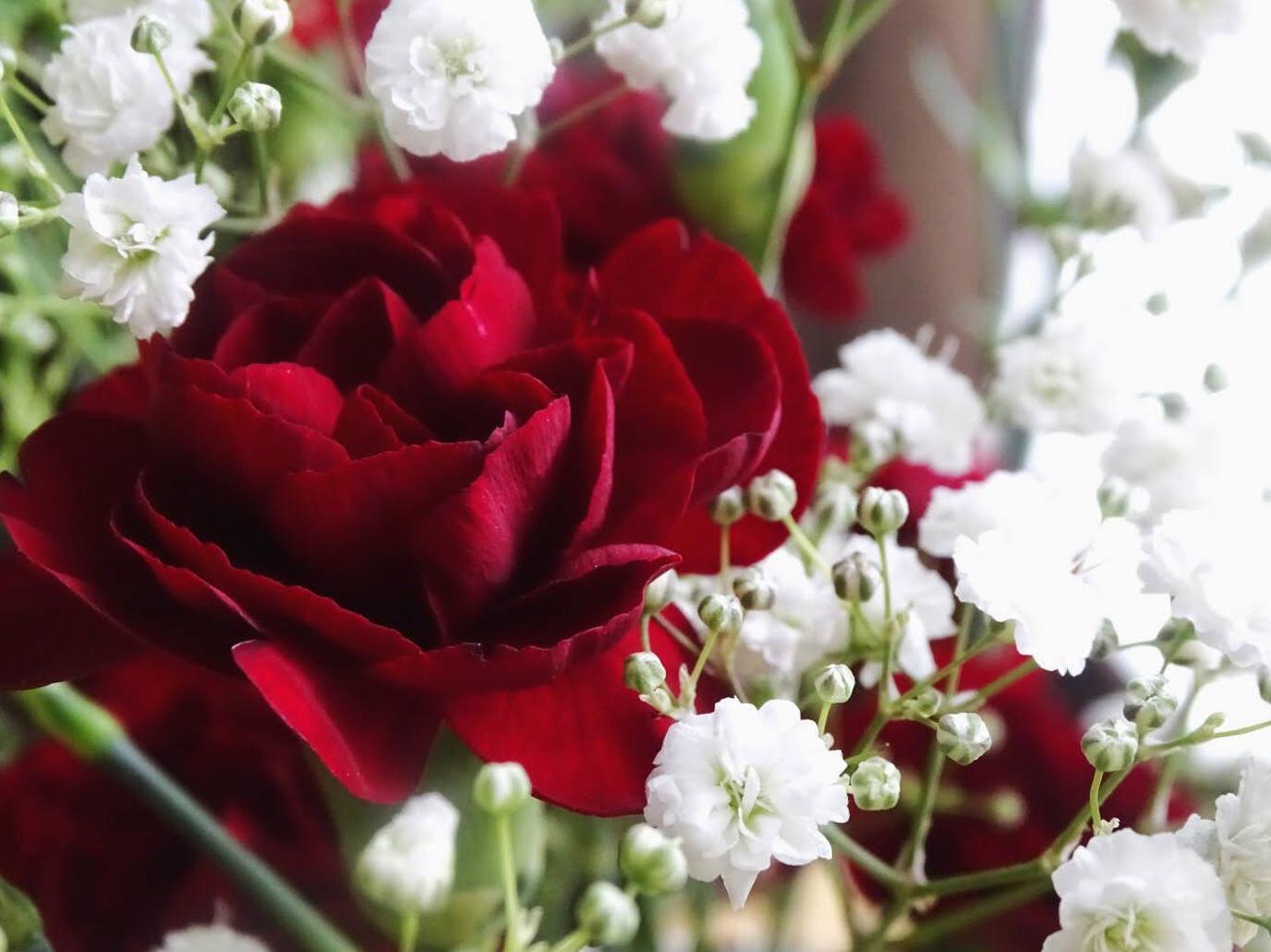 The Wedding Website of Stephanie Calderon and Tyler Cascone
