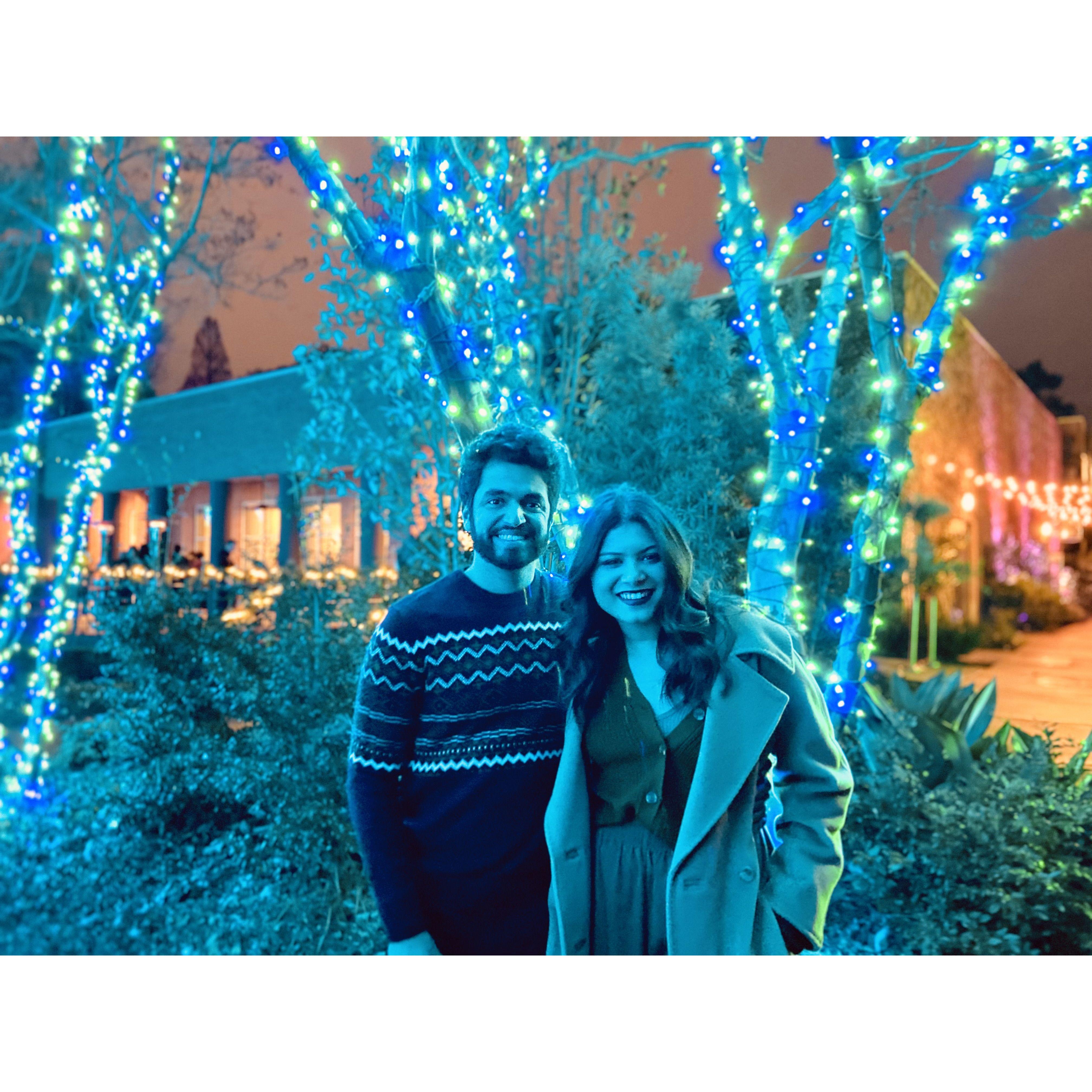 Holiday Lights (Piedmont Park)
December, 2019