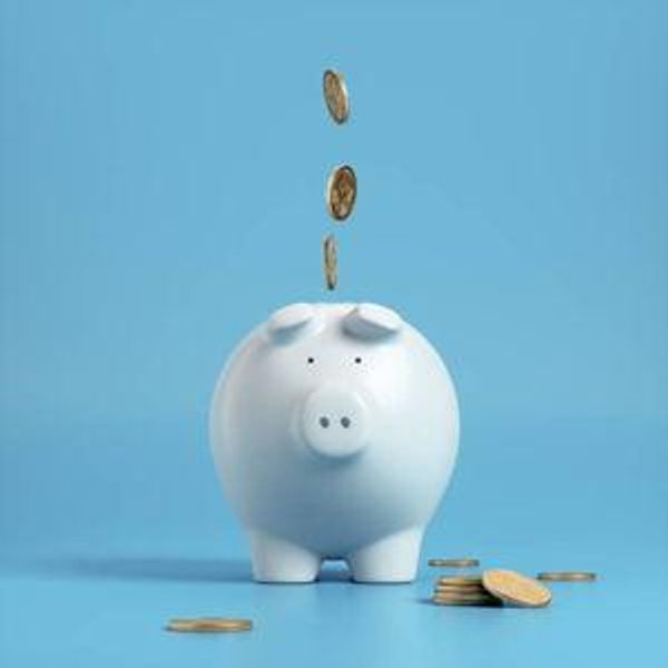 Our newlywed fund (USD)