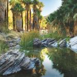 Andreas Canyon
