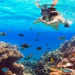 Hanauma Bay State Park (great snorkeling!🐠)