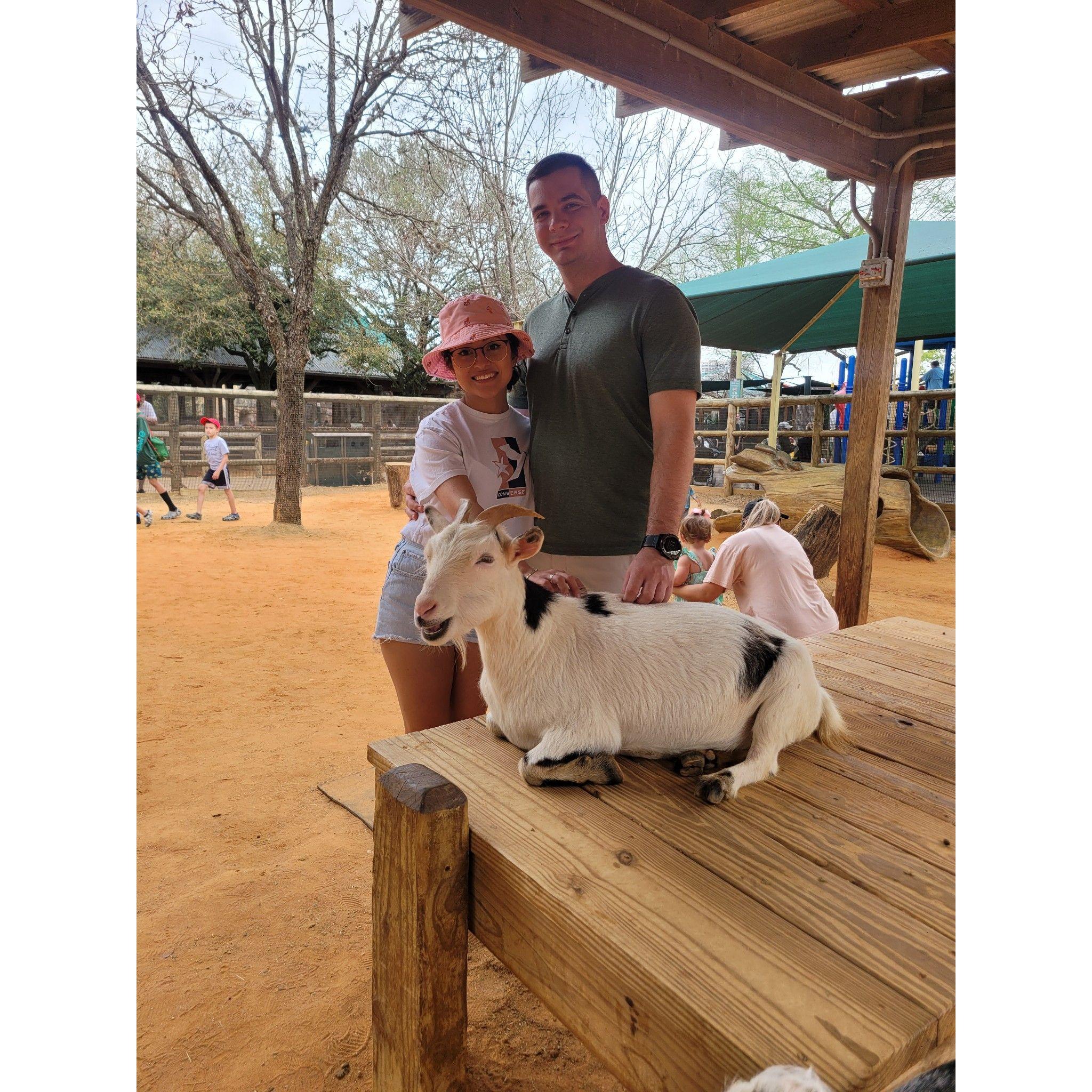 Houston Zoo