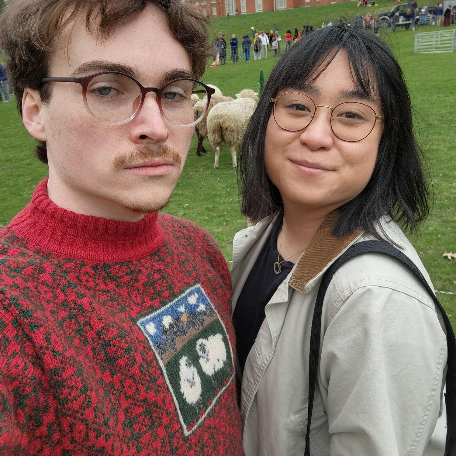 Hanging with Sheep!