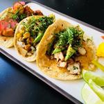 Taco Lab