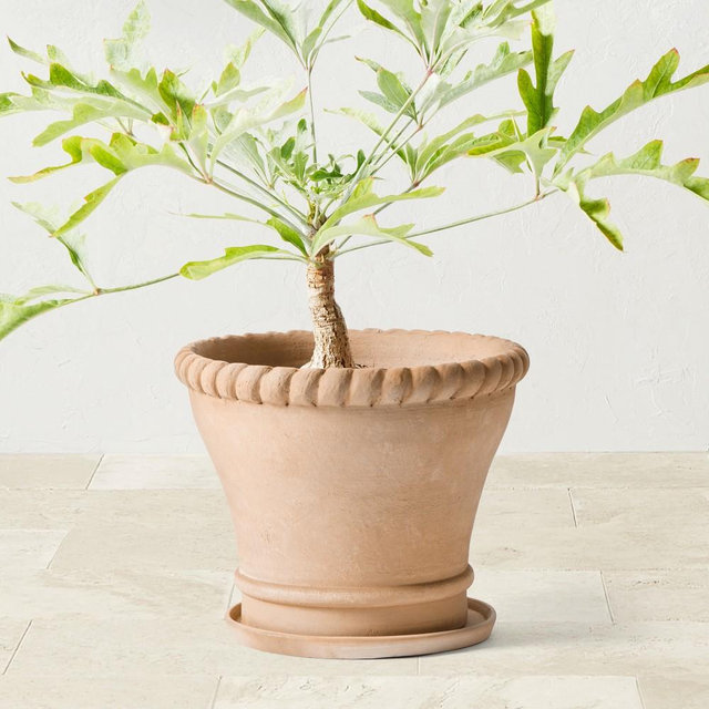 Williams Sonoma Terracotta Rope Planter, Large
