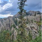 Black Elk Peak Trail (Harney Peak)