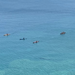 Kayak or Paddle Board