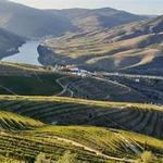 Douro Wine Region