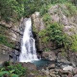 El Yunque National Forest
