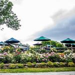 Warwick Valley Winery, Distillery & Orchard