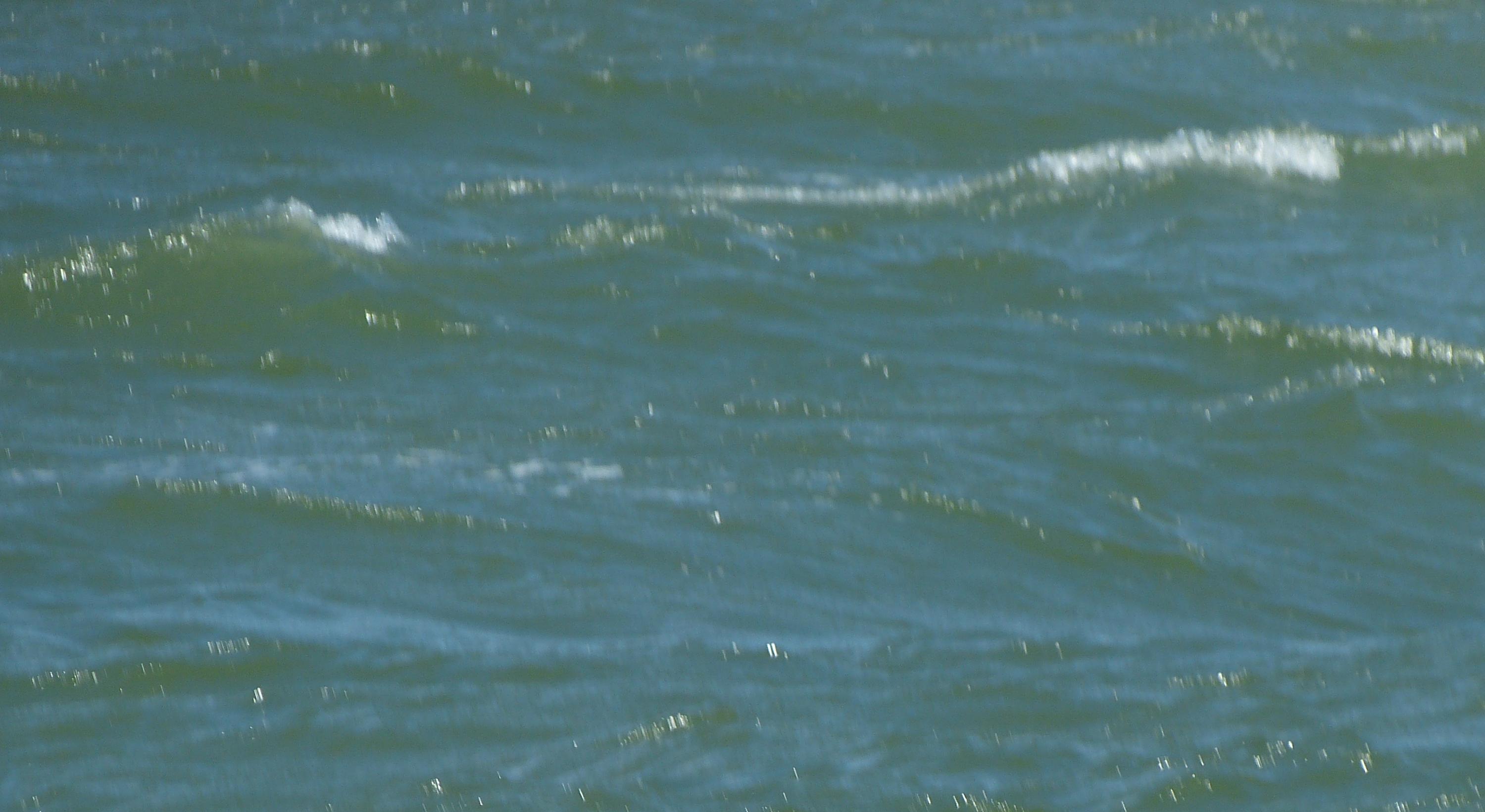 Footer image