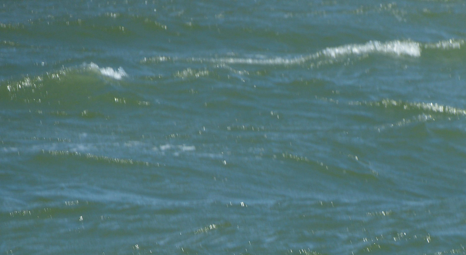 Footer image