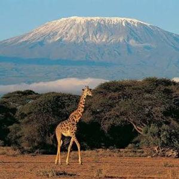 Honeymoon Fund: Exploring Tanzania